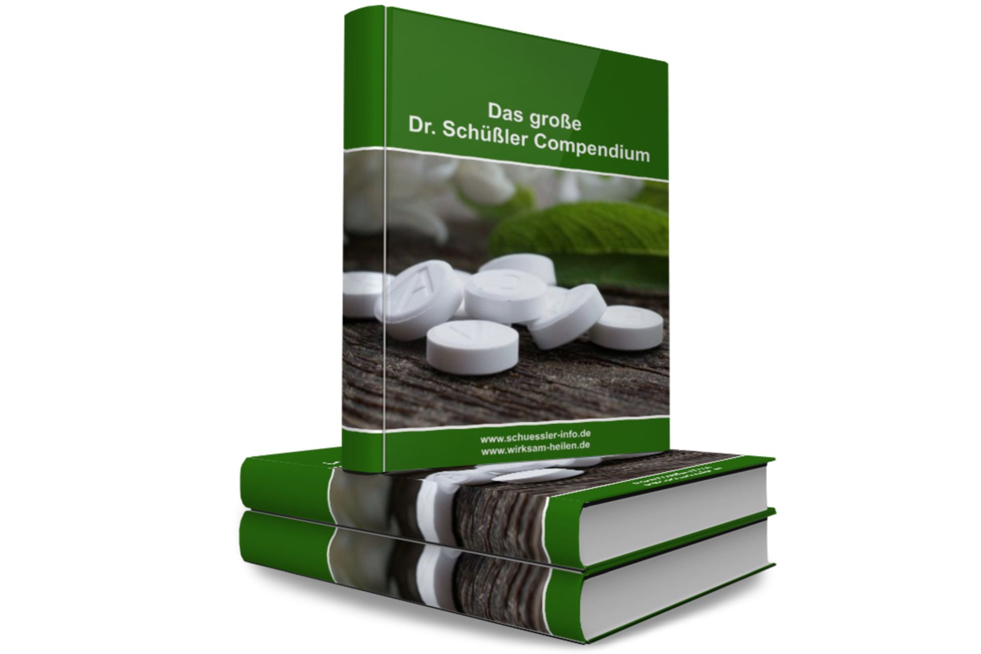 E-Book Das große Dr. Schüßler Compendium